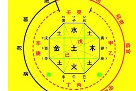 龍德 八字|八字里龙德是什么意思 八字四柱中龙德星